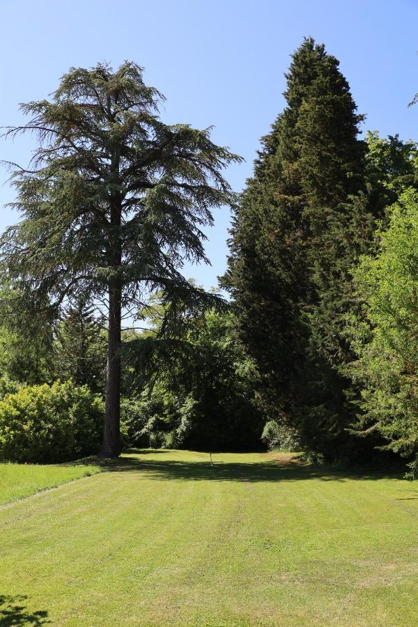 Domaine De Pouroutounat Mirepoix  Exterior photo